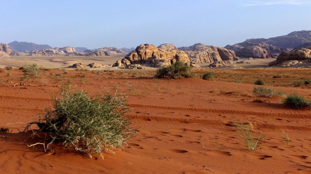 Salem Camp Hotel Wadi Rum Exterior photo