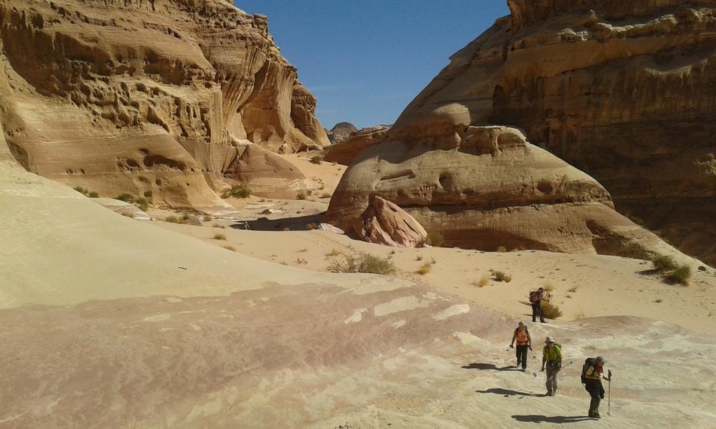 Salem Camp Hotel Wadi Rum Exterior photo